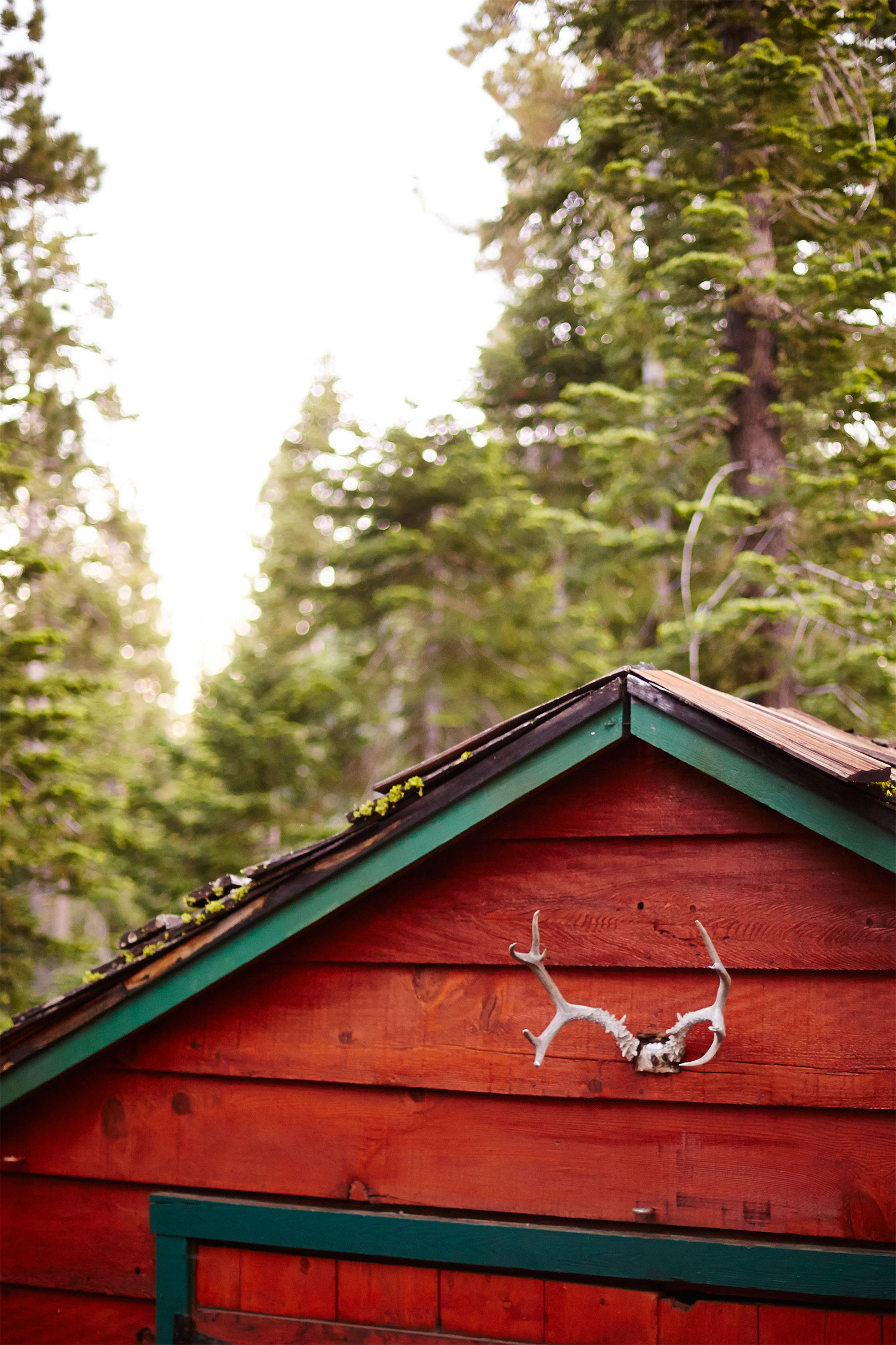 Lake_Tahoe_Cabin_Antlers